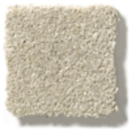 Shaw Jackson Heights Latte Texture Carpet with Pet Perfect Plus-Sample